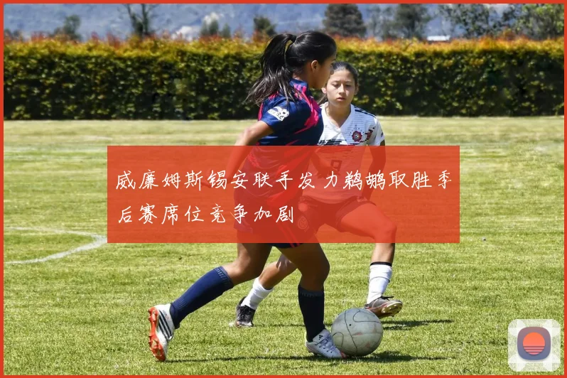 威廉姆斯锡安联手发力鹈鹕取胜季后赛席位竞争加剧