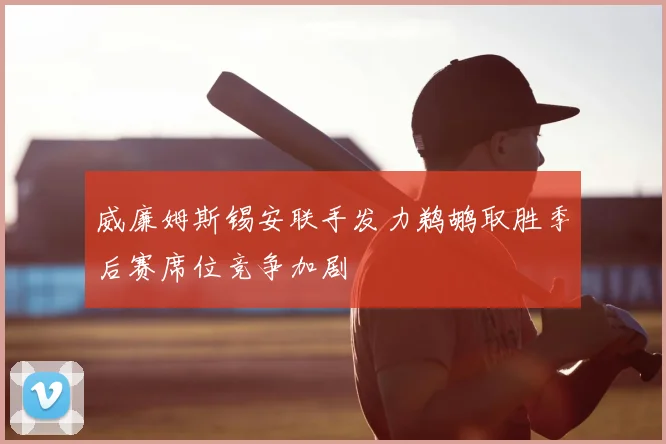 威廉姆斯锡安联手发力鹈鹕取胜季后赛席位竞争加剧